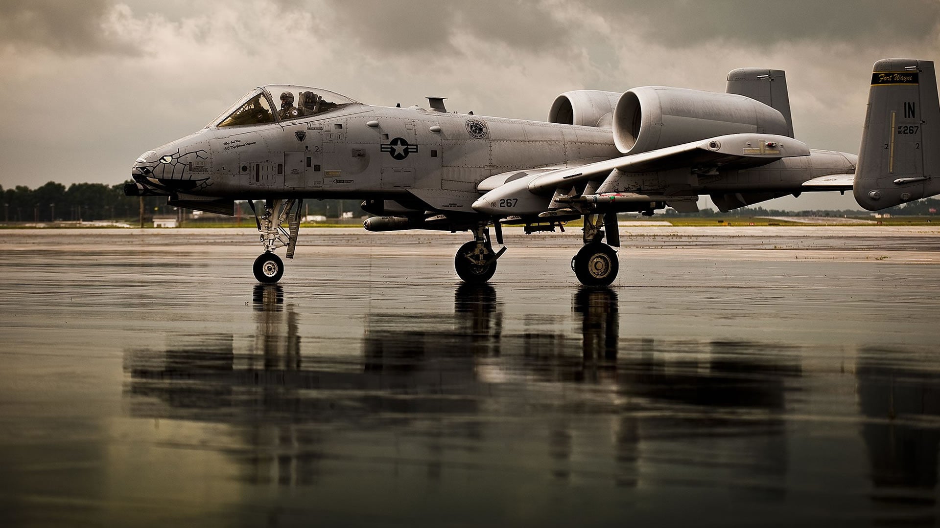 The A-10 Thunderbolt II The Warthog Ground Attack Aircraft – AVI-8  Timepieces