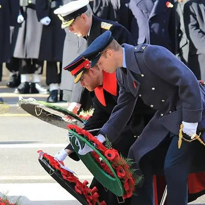 Remembering the Sacrifices: The Significance of Remembrance Day