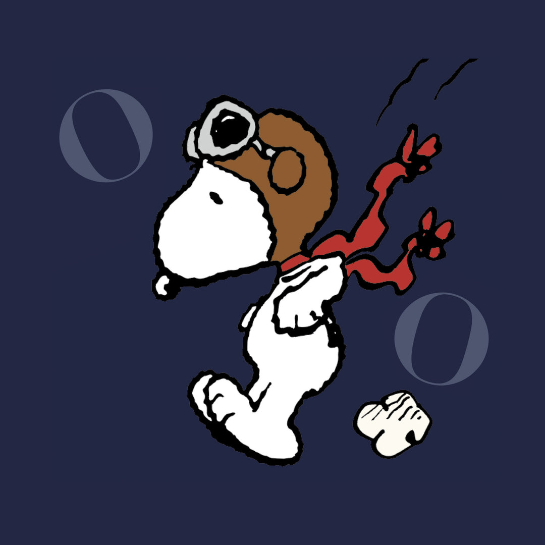 イタリア　スヌーピー Peanuts Snoopy Flying Ace Limited Edition – AVI-8 Timepieces